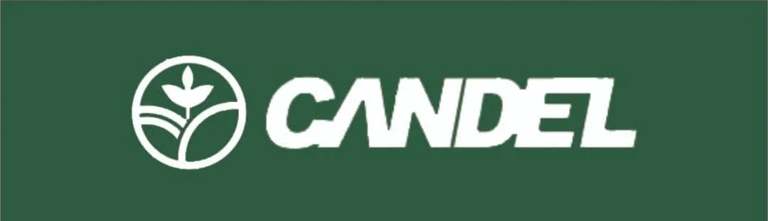 The Candel Company Limited